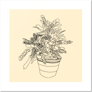 Beautiful house plant line art Posters and Art